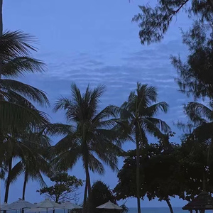 亚洲精品成人AV观看
